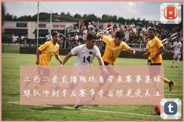 江西二套直播线观看带来赛事集锦球队冲刺季后赛争夺后续更受关注