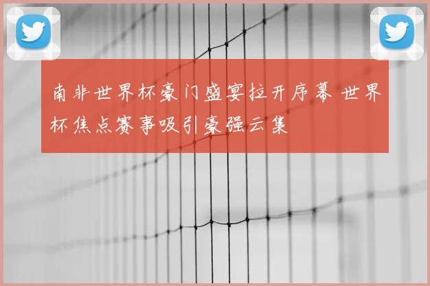 南非世界杯豪门盛宴拉开序幕 世界杯焦点赛事吸引豪强云集
