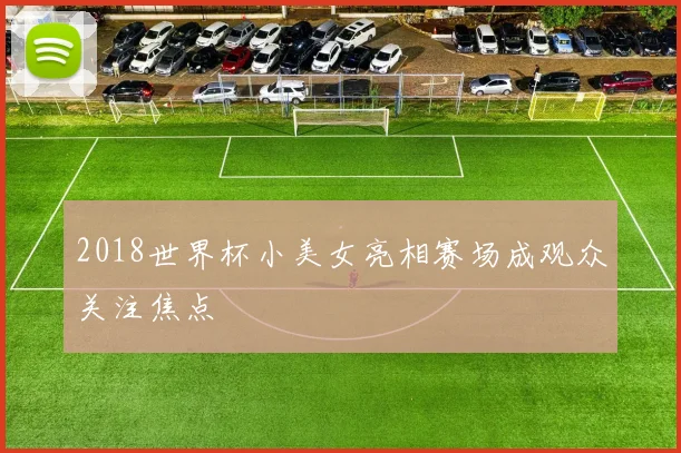 2018世界杯小美女亮相赛场成观众关注焦点